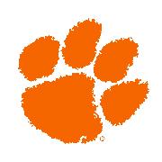 Clemson University's Youth Learning Institute Logo
